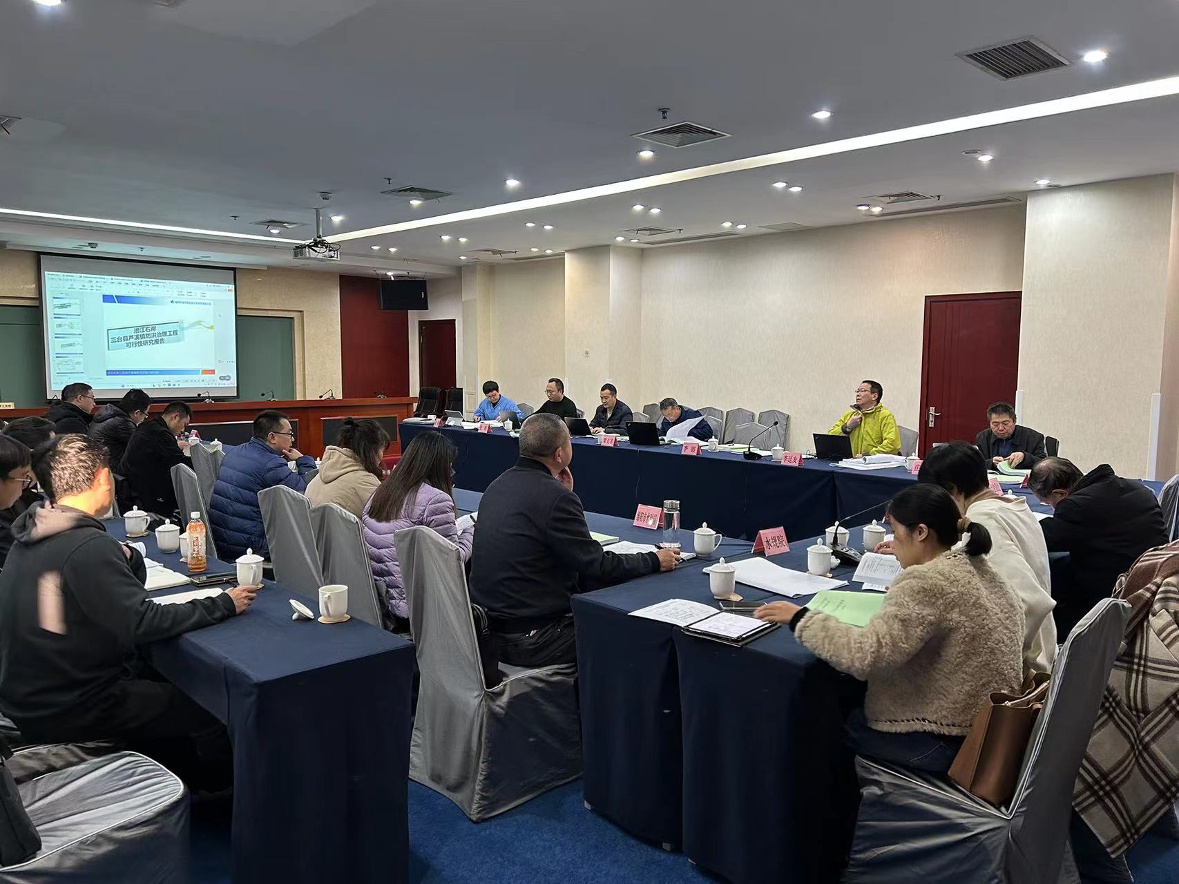 三台县芦溪河堤可研报告审查会