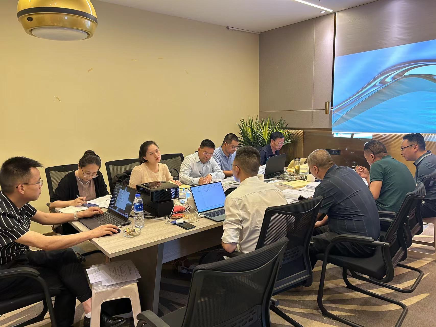 武引二期盐亭7条斗渠初步设计审查会