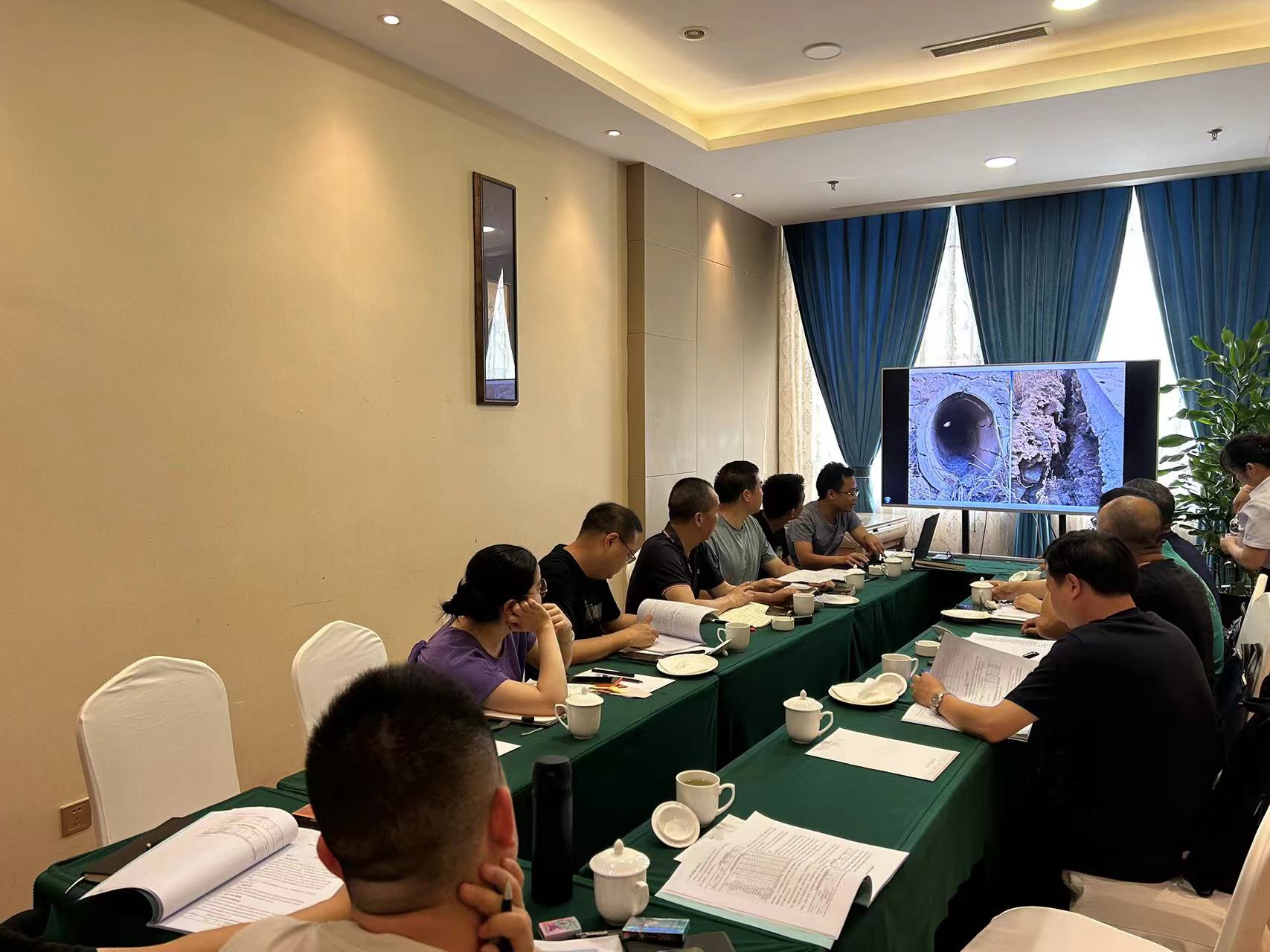 游仙区新桥胜利村堤防安全评价审查会